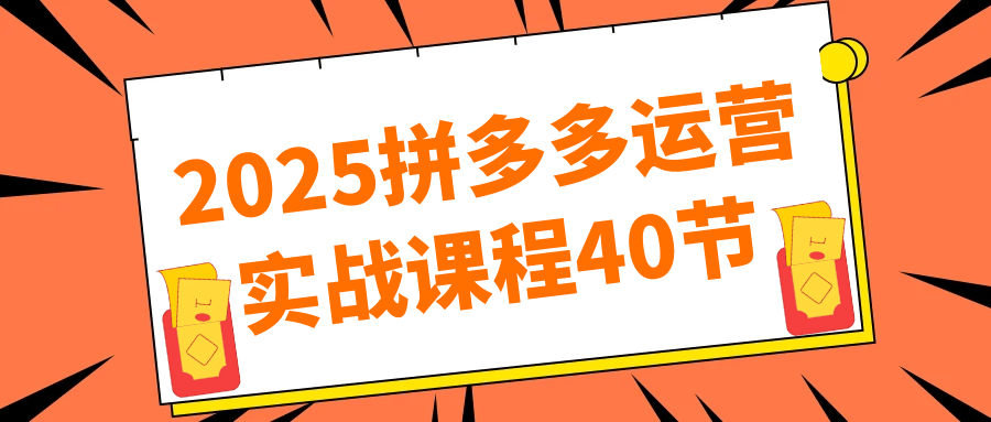 2025拼多多运营实战课程40节—[编号：196]