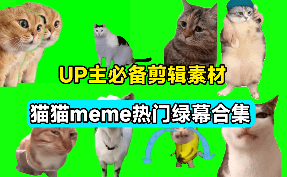 UP主必备！B站某音热门绿幕视频素材，180套猫猫meme动态绿幕合集包，含背景图BGM，含使用教程—【编号：441】